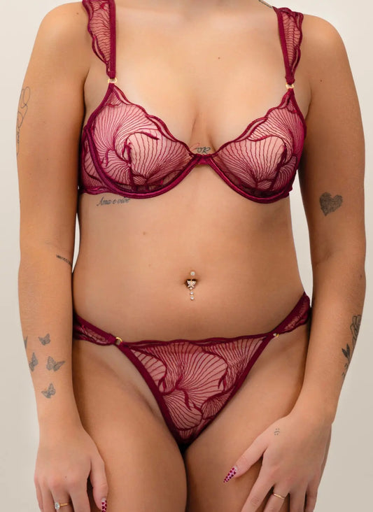 Two-piece lingerie set with transparent beige tulle and black embroidery Guo Weiling